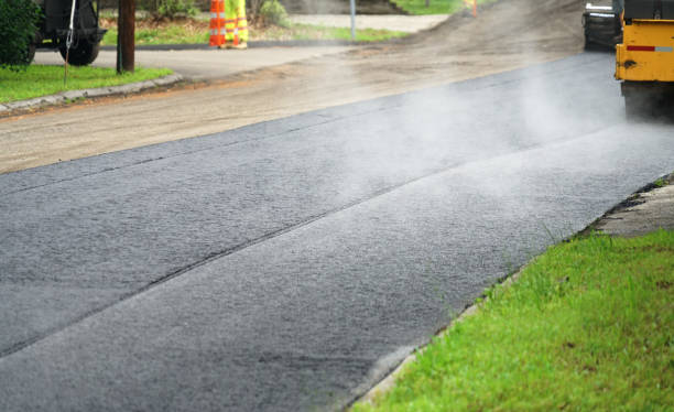 Best Driveway Paving Contractor  in Panaca, NV