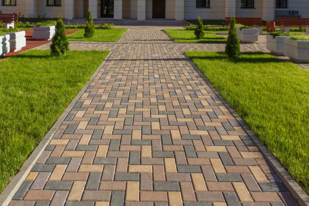 Best Driveway Pavers Contractor  in Panaca, NV